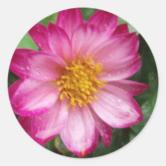 Flower Classic Round Sticker