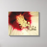 Flower Close Up Photo Single Art Poster
