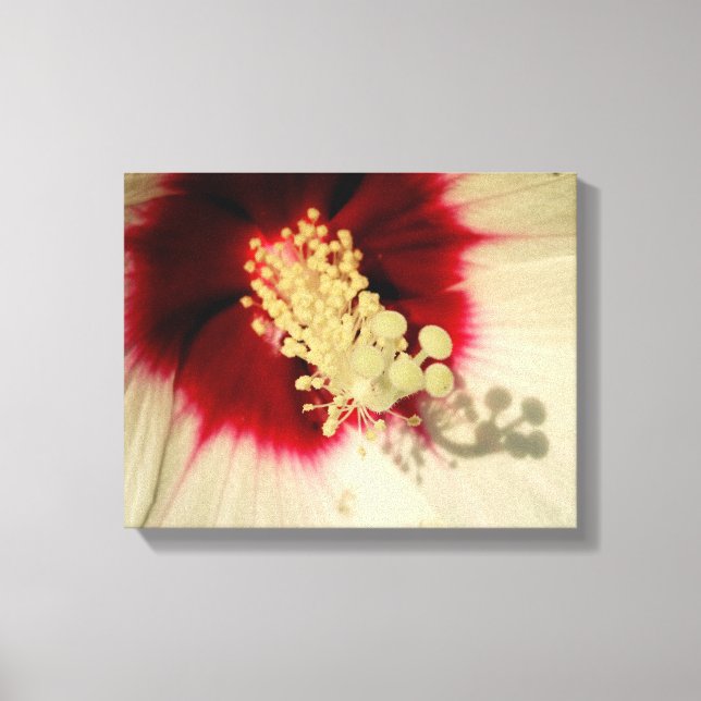 Flower Close Up Photo Single Art Poster Canvas Print (Front)