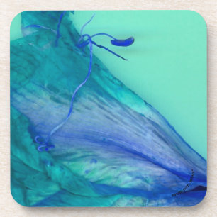 Flower Coaster
