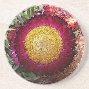 Flower Coaster