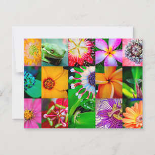 Flower Collage Garden Floral All Occasion Blank Postcard
