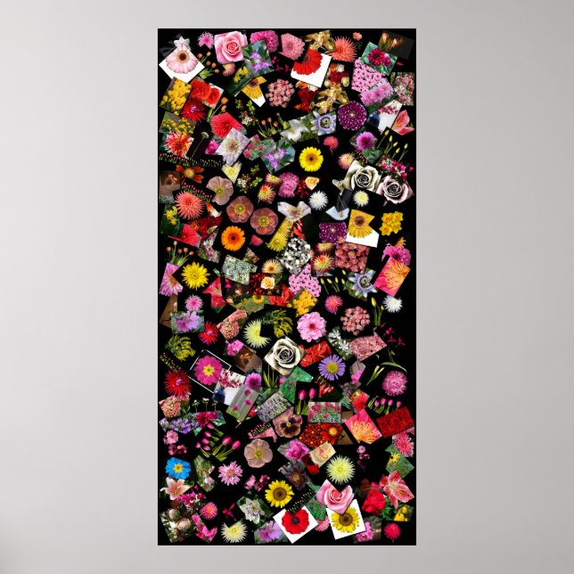 flower collage poster (Front)