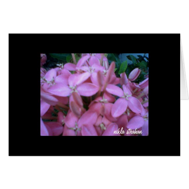 *FLOWER COLLECTION*   note card (Front Horizontal)
