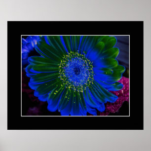 Flower Dahlia Blue Abstract Poster