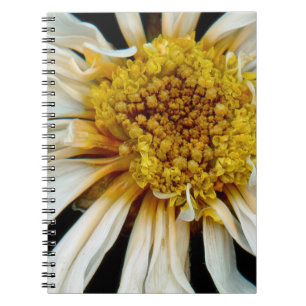 Flower - Daisy - Drunken sun Notebook