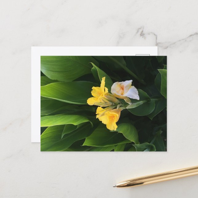 Flower Delivery Postcard (Front/Back In Situ)