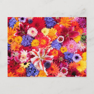 Flower design of Dalhia, Oriental Lilies, Postcard