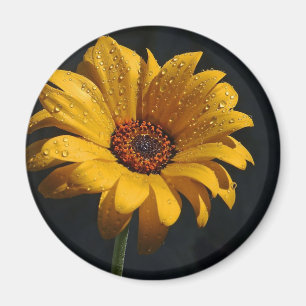 flower dew rain magnet