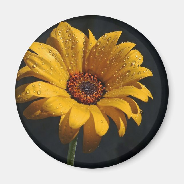 flower dew rain magnet (Front)