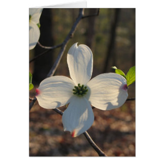 Flower Dogwood - Customisé2
