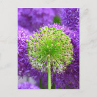 Flower Fash