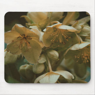 Flower floral Mousepad