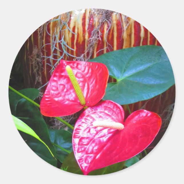 Flower Floral photos from Longwood Gardens Classic Round Sticker (Front)