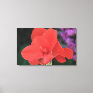 Flower found in the gardens of the D. Carlos I Canvas Print