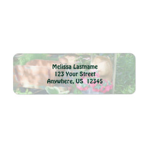 Flower Garden Arrangement Painting Address