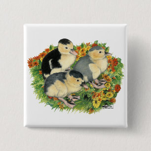 Flower Garden Ducklings 2 Inch Square Button