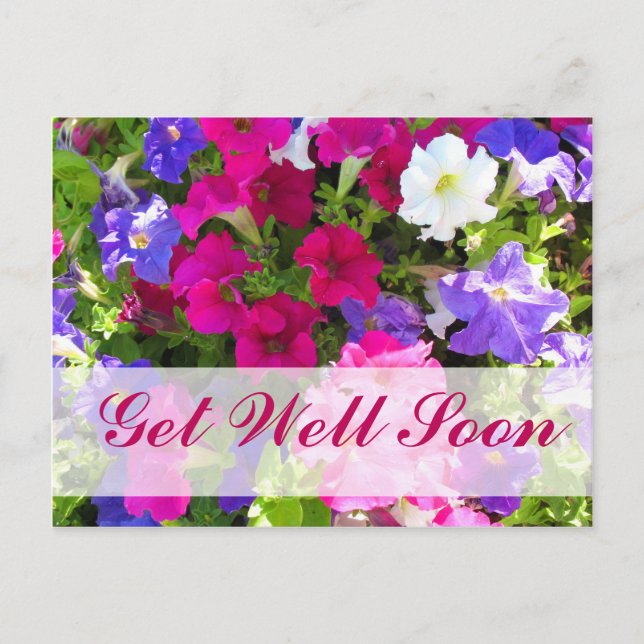 flower garden Get Well Soon Postcard (Front)