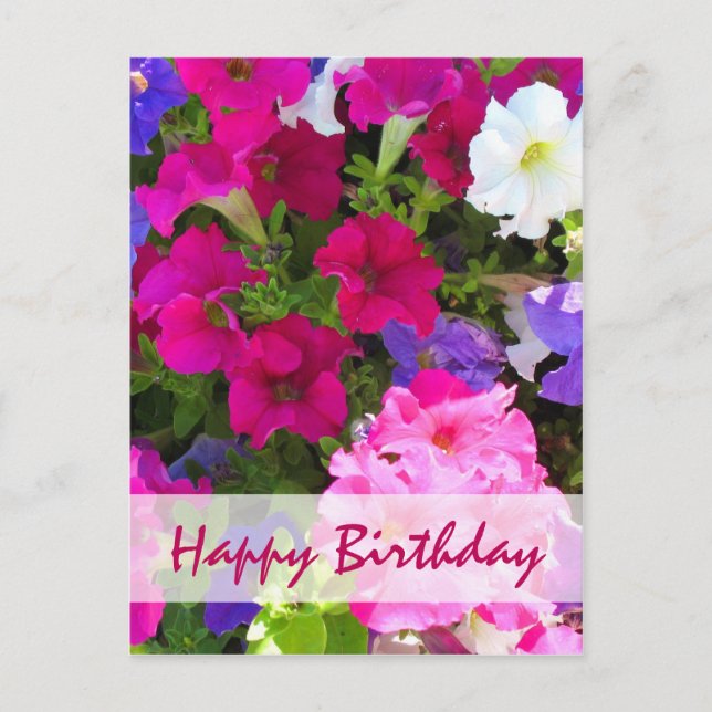 flower garden happy birthday postcard (Front)