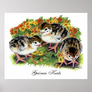 Flower Garden Keets Poster