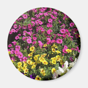 Flower-garden Magnet