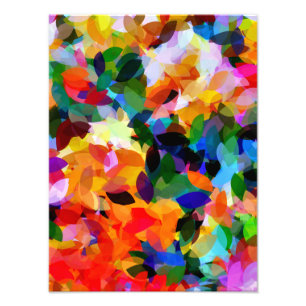 FLOWER GARDEN PHOTO PRINT