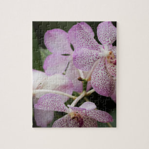 Flower Garden Puzzle