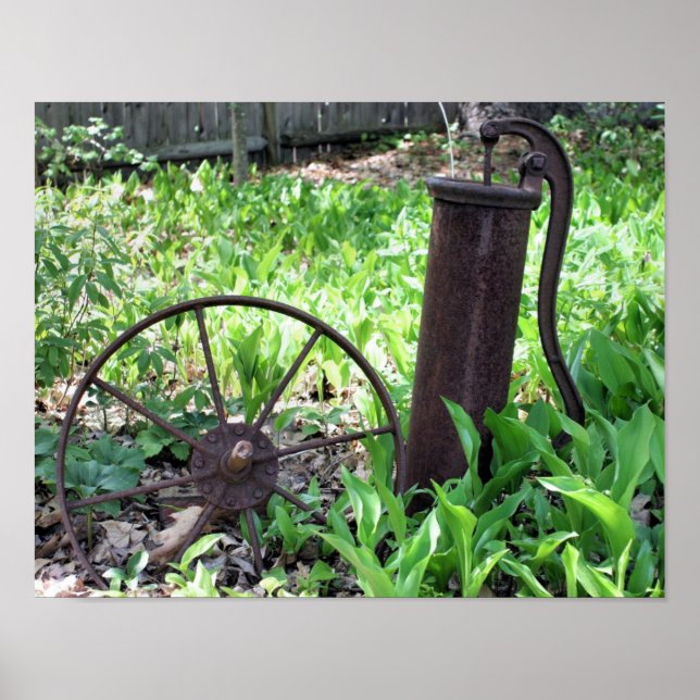Flower Garden Rusty Wheel And Pump Poster (Front)
