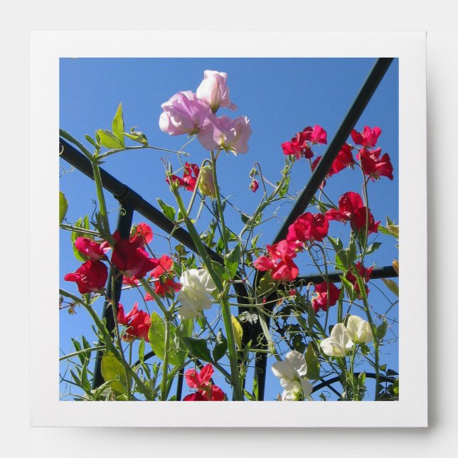 Flower Garden Square DVD Envelope (Front)