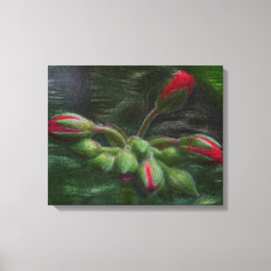 Flower Geranium Buds Canvas Print