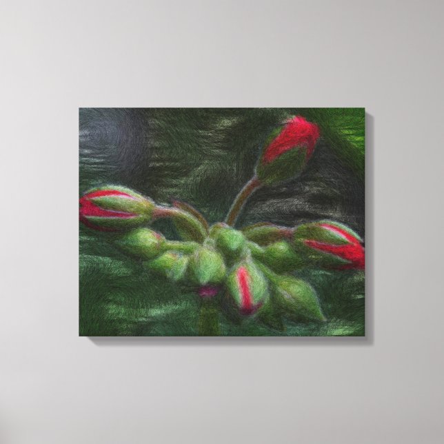 Flower Geranium Buds Canvas Print (Front)