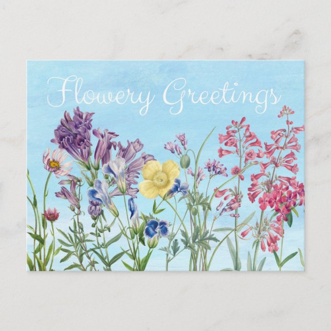 Flower Greetings Floral Illustration Postcard (Front)