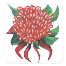 Flower Hand drawn Waratah Stickers