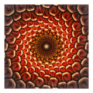 Flower Healing Mandala OM Photo Print