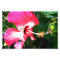 Flower in Bloom Pink