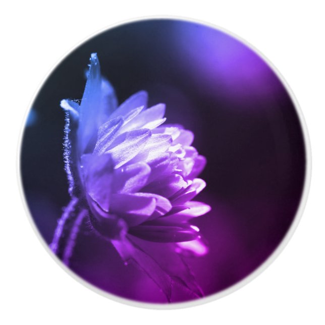 Flower In Sunlight Black And White Colour Tint  Ceramic Knob (Front)