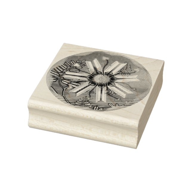 flower in the desert  rubber stamp (Stamp)