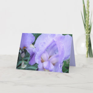 Flower - Iris Card