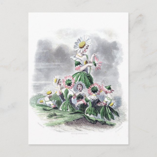 Flower Ladies Daisy Animated Flowers Grandville Postcard (Front)