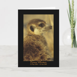 Flower - Legends Card