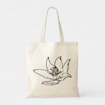 Flower Lily