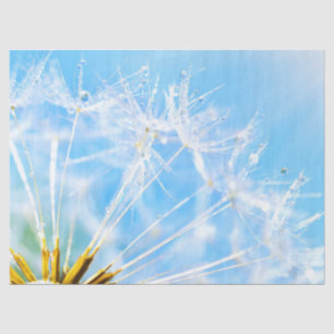 Flower Lover   Beautiful Dandelion Flower Tissue Paper