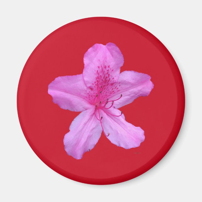 Flower Magnet (Front)