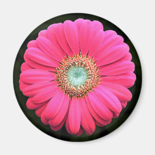 Flower Magnet