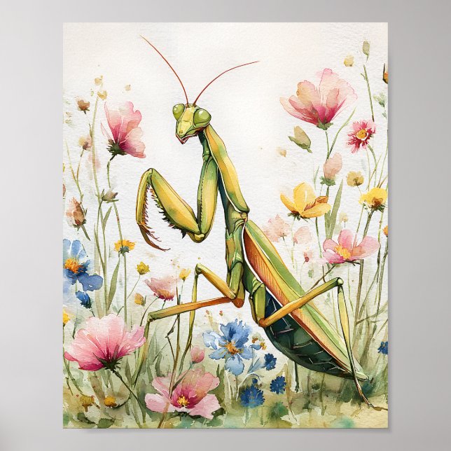 Flower Mantis Watercolor Print – Praying Mantis Po (Front)