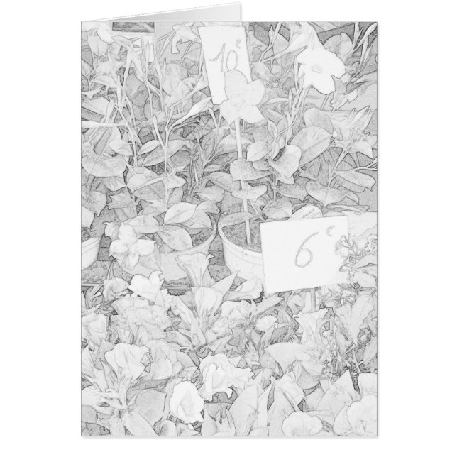 Flower Market Colouring (Front)