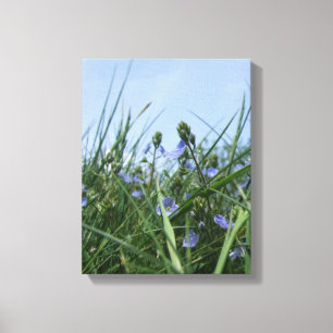 Flower Meadow Canvas Print