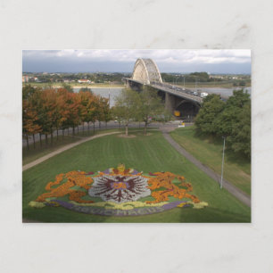 Flower mosaic, Nijmegen Postcard