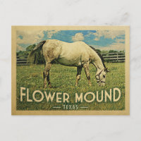 Flower Mound Texas Horse Farm -Vintage Travel