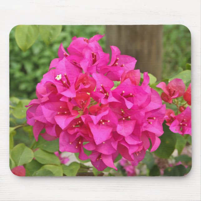 Flower Mouse Pad (Front)